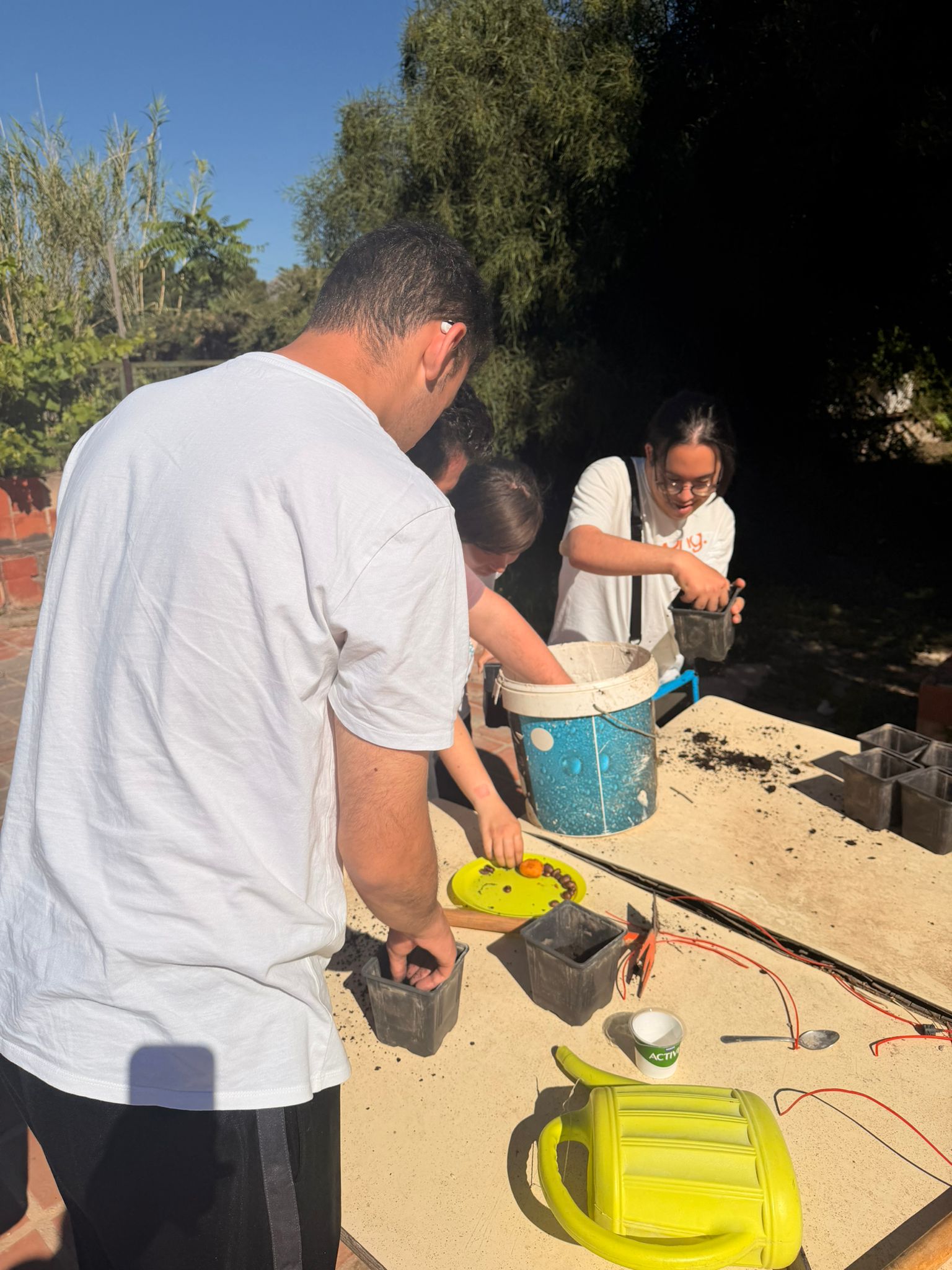 Taller Vivo